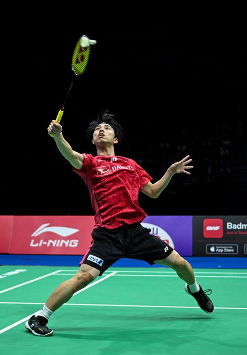 案例分析 案例分析